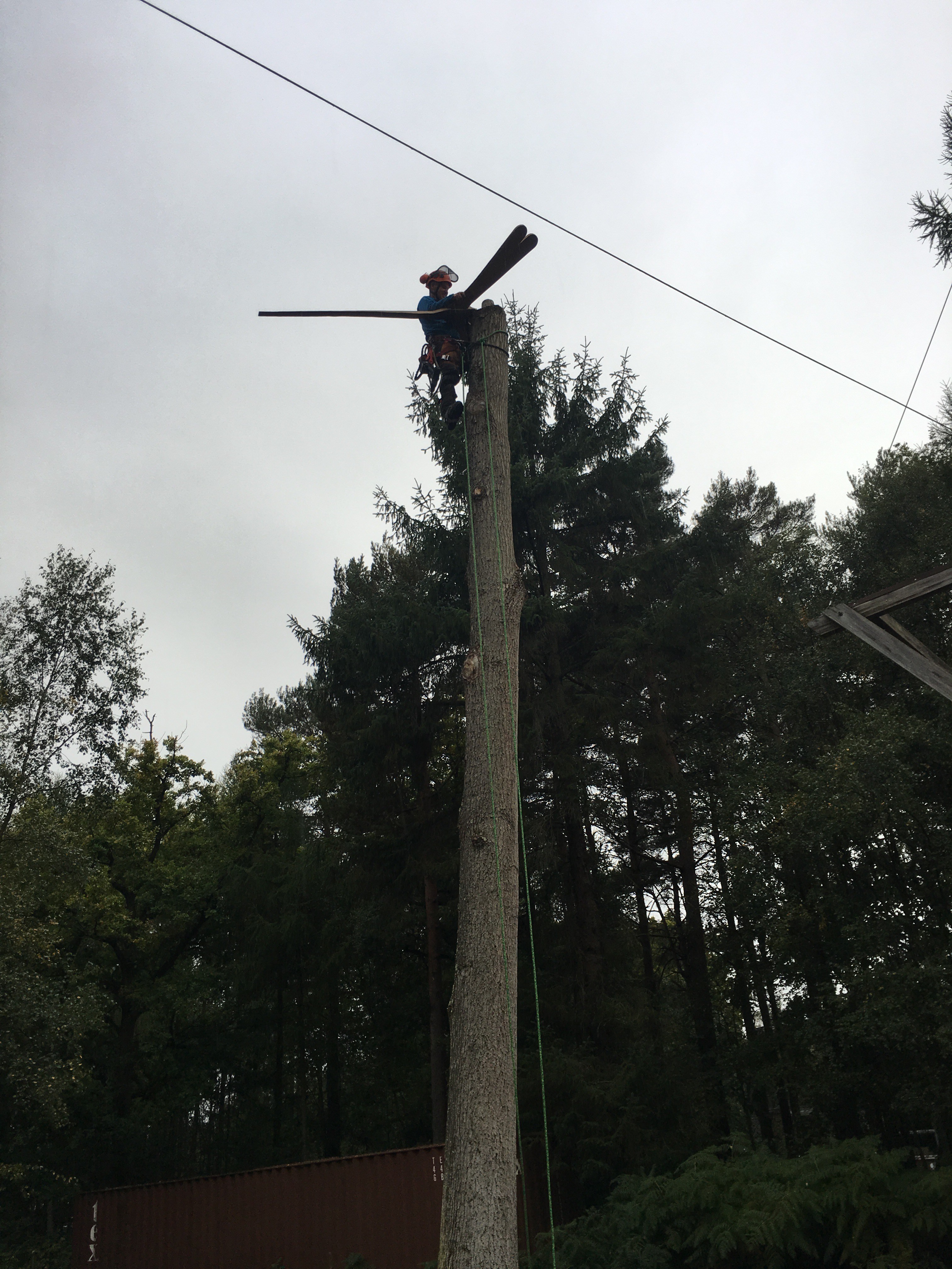 Tree Work & Networking (Woodland Enterprise Centre) Scott Fraser Training